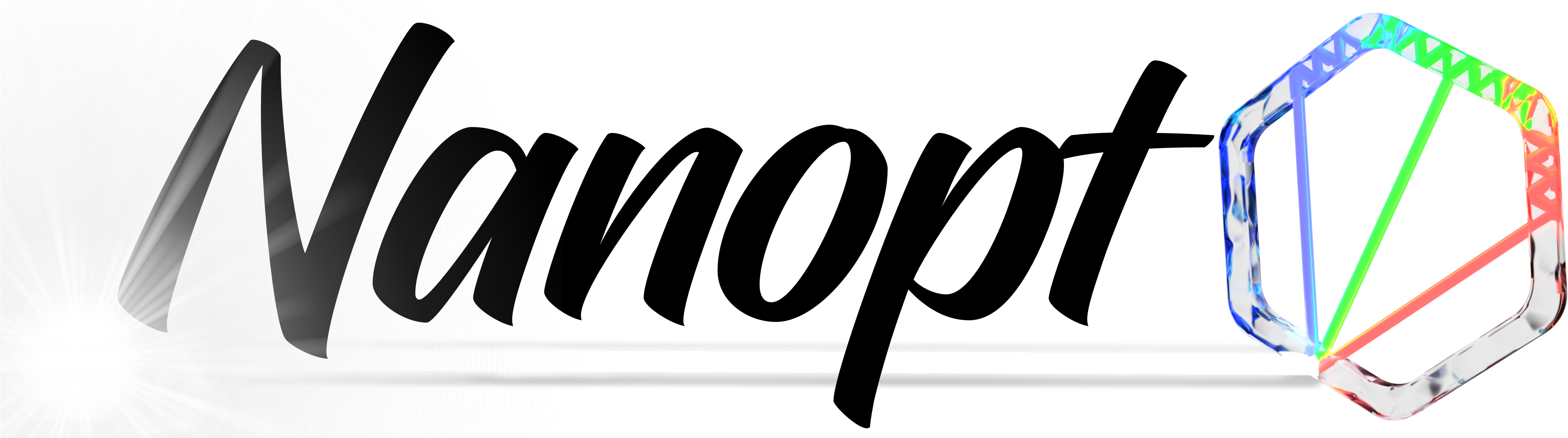 Nanopto Logo - Laid Hair Co (3600x1000), Png Download