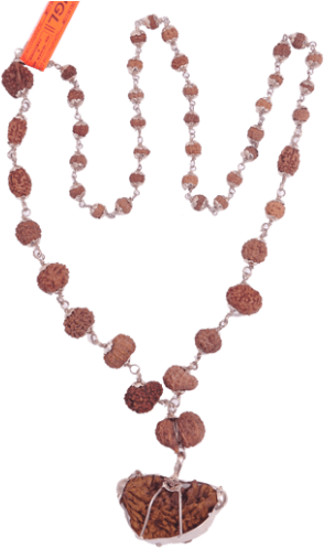 Multi Combination Multiple Purpose Rudraksha Mala 49 - Rudraksha (500x500), Png Download