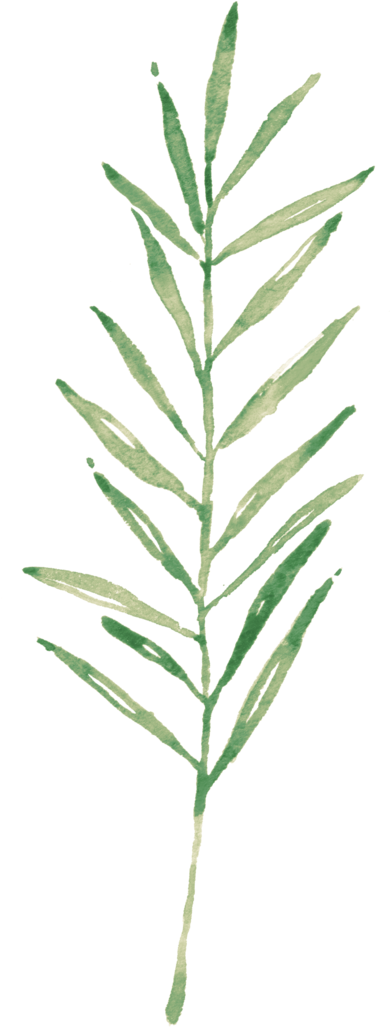 Fernland-elements - Chemical Element (400x1026), Png Download