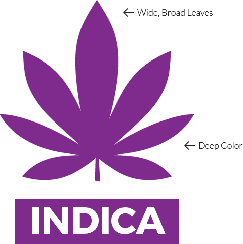 Are You - Weed Leaf Tattoo (483x484), Png Download