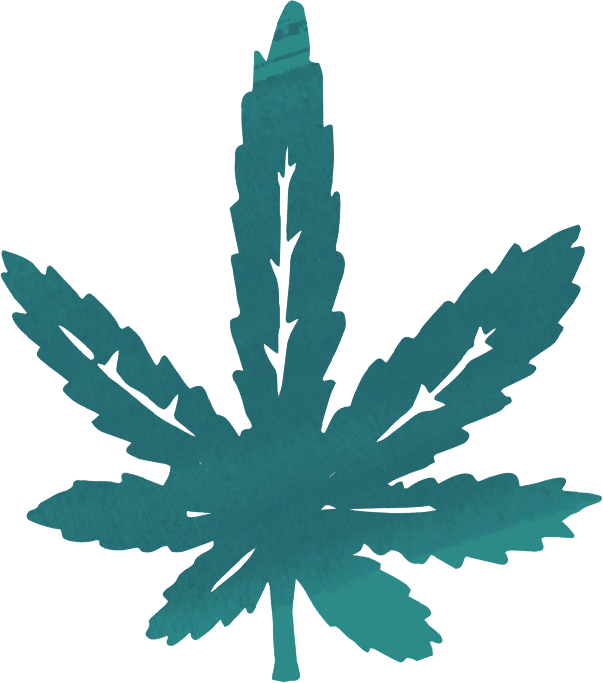 Recreational Cannabis - Maple Leaf (603x683), Png Download