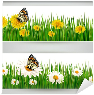 Two Banners With Butterflies And Flowers - Elopol Garnek Średni Emaliowany Motyl 24 Cm Indukcja (400x400), Png Download