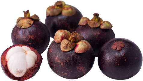 Download Purple Mangosteen Png Image - Mangosteen Hd (500x296), Png Download