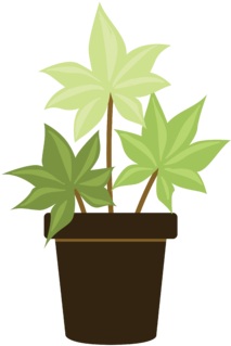 Indica - Flowerpot (360x360), Png Download