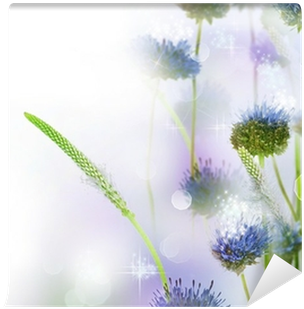 Photography (400x400), Png Download
