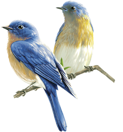 0 13f19a Fb743e29 L - Birds Painting Png (497x500), Png Download