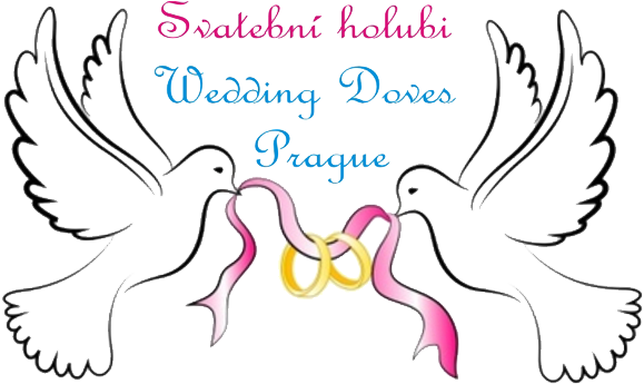 Partners - Dove Of Peace Dove Of Peace Oval Ornament (777x355), Png Download