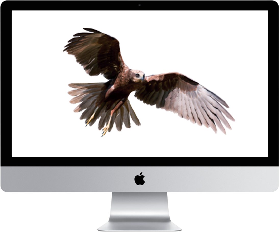 Jaggaer Advantage - Imac 21 5 (1500x1050), Png Download