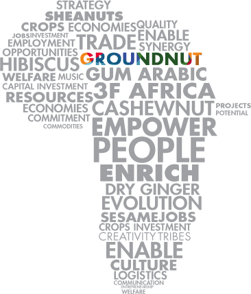 The Peanut Or Groundnut Is A Species In The Legume - Africa (366x429), Png Download