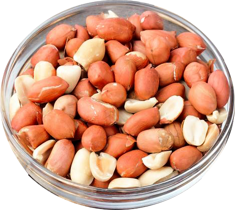 Let's Talk - Peanut (467x418), Png Download