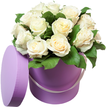 Visit - Цветы В Коробках Пнг (380x380), Png Download