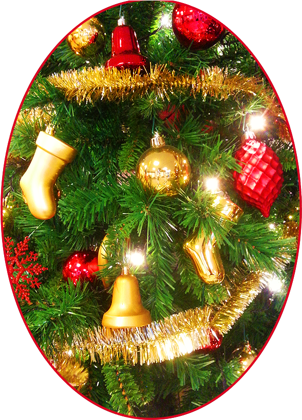 Christmas Pictures Decoration - Christmas Ornament (620x827), Png Download