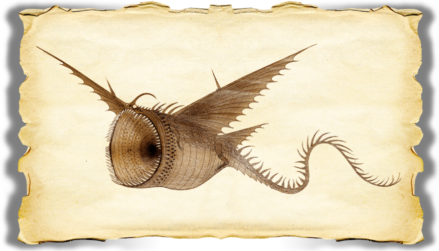Dragons Bod Thunder Gallery Image 04 - Train Your Dragon Book Of Dragons Changewing (875x500), Png Download