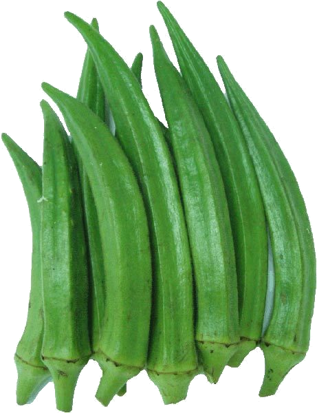 Lady Finger - Ladies Finger (461x600), Png Download