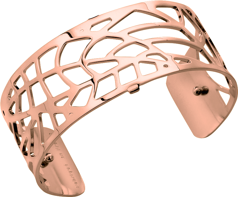 Les Georgettes Fougere 25mm (1245x1140), Png Download