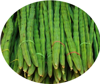 Drumstick / ड्रमस्टिक - Sahjan Vegetable In Hindi (350x345), Png Download