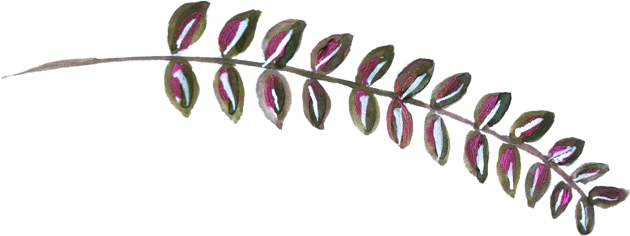 0℃素材27 - Portable Network Graphics (1398x708), Png Download