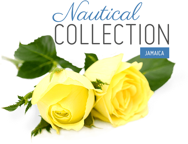 For Brides Who Draw Inspiration From The Sea, The Nautical - Official Mistletoe Tester Queen Duvet (602x474), Png Download