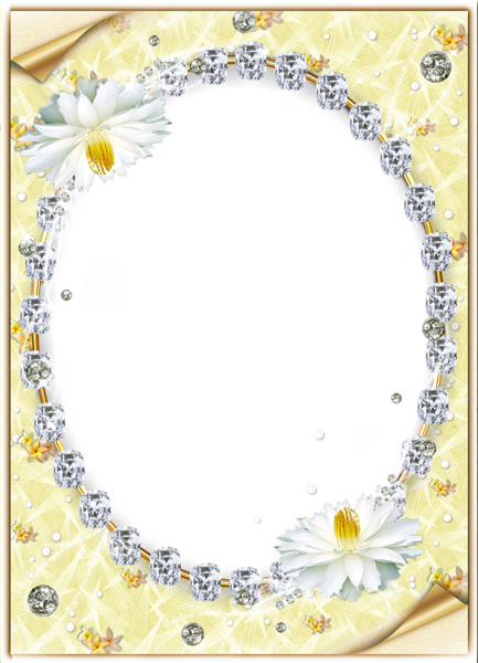 0, - Picture Frame (433x600), Png Download