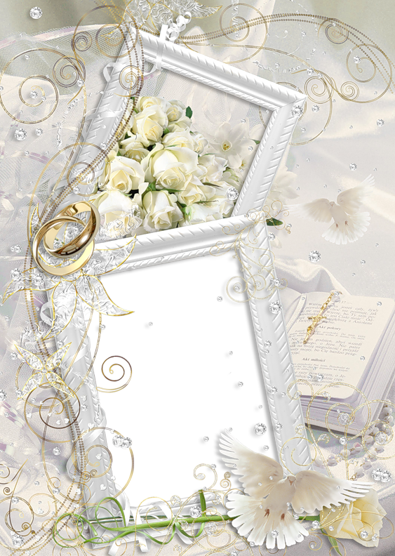 Transparent Delicate Nice Wedding Frame - Frames (563x792), Png Download