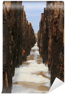 Photograph (400x400), Png Download