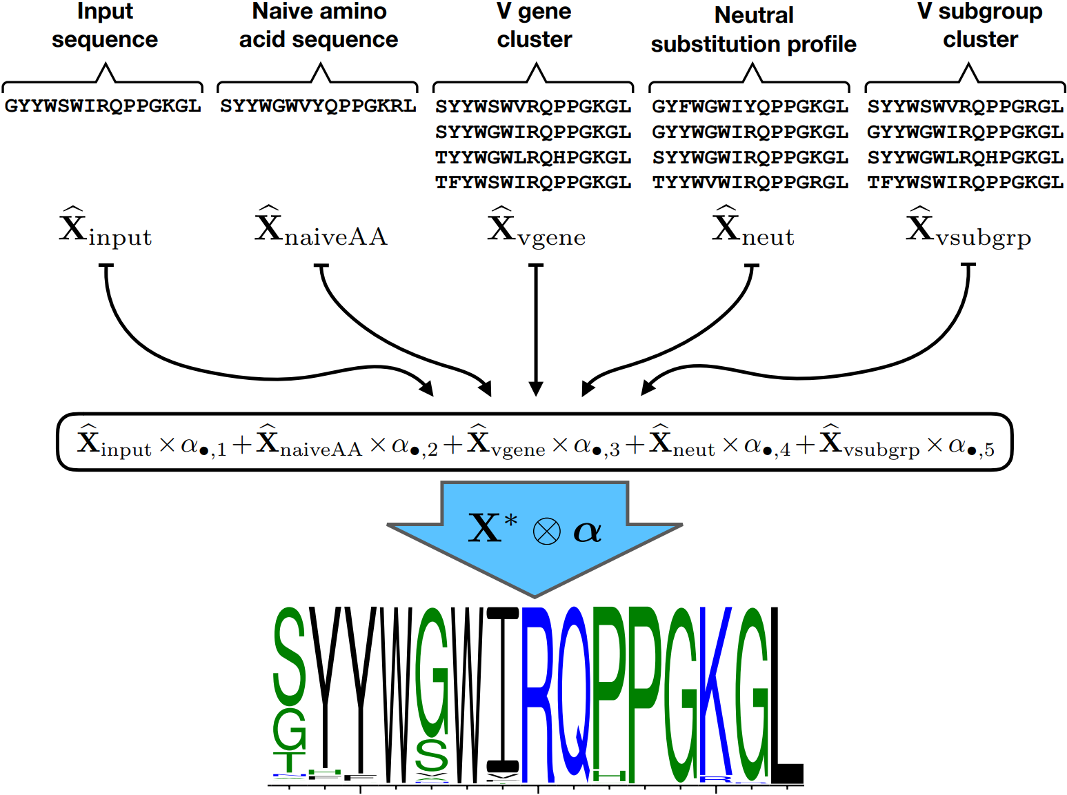 Can We Predict How Sites Of An Antibody Will Tolerate - B-cell Receptor (1547x1153), Png Download
