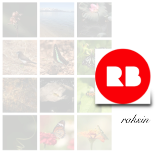 View Raksin Profile On Redbubble - Guitar String (400x400), Png Download