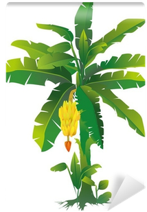 Banana Tree Vinyl Wall Mural • Pixers® • We Live To - Banana Tree Illustration (400x400), Png Download