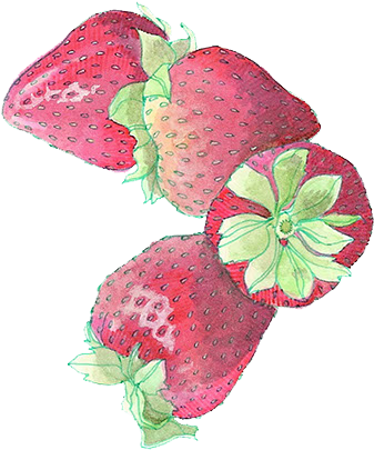 Strawberry (397x463), Png Download