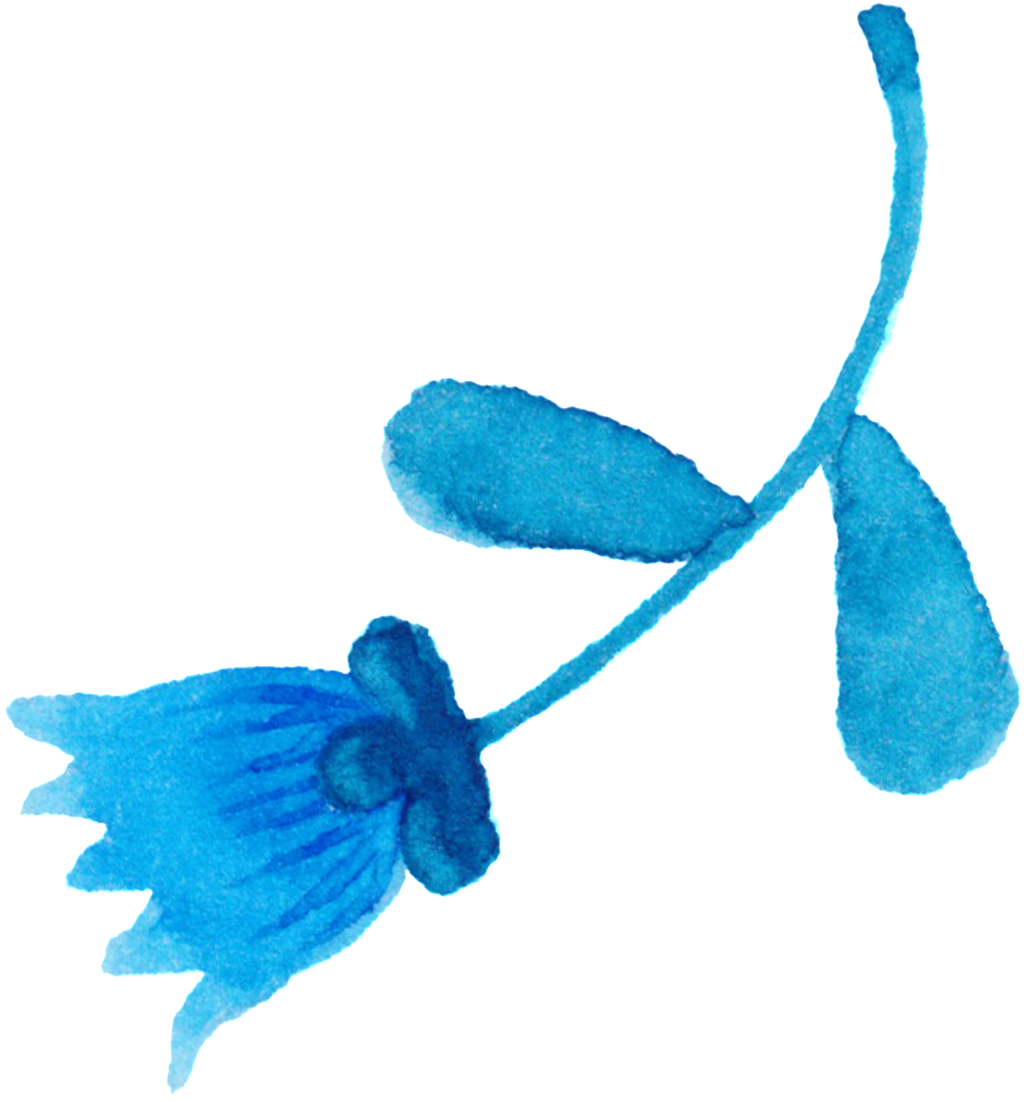 Cartoon Hand Painted Flower Decoration Vector - Cartoon (1024x1102), Png Download