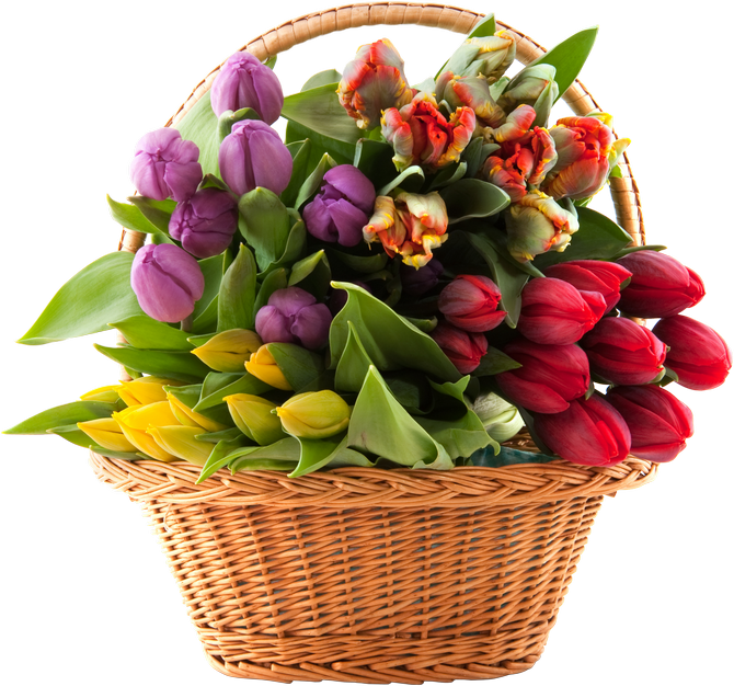 Bouquet Of Flowers Png Image - Tedgem 8 Pack Wire Handles (handle-ease) For Mason, (500x500), Png Download