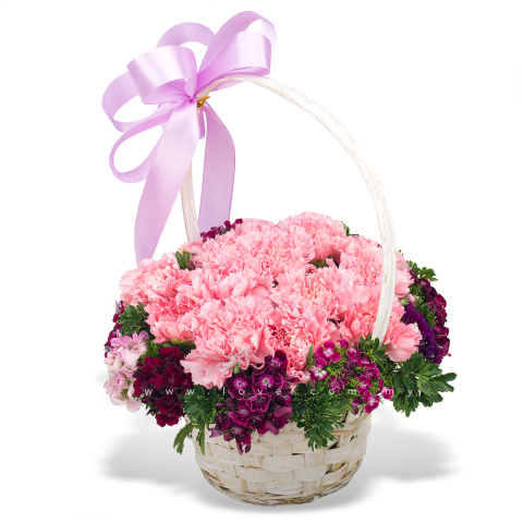 New Carnation Basket - Basket (480x480), Png Download