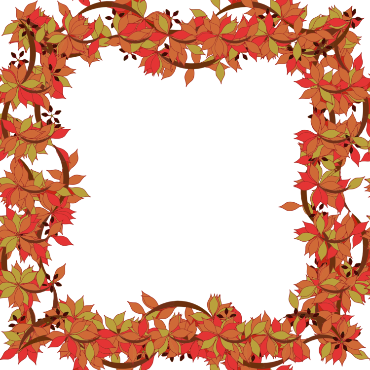 Graphic Frames Floral Design Picture Frames Flower - Png Transparent Frame Floral (750x750), Png Download