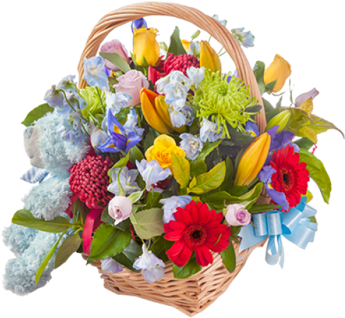 Baby Boy Flower Basket - Arrangement (500x500), Png Download