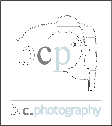 Report - Photography Logos Free (389x437), Png Download