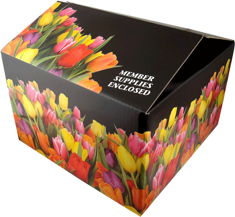 Creative Shipping Box Designs For Your Company - Custom Shipping Boxes (800x738), Png Download