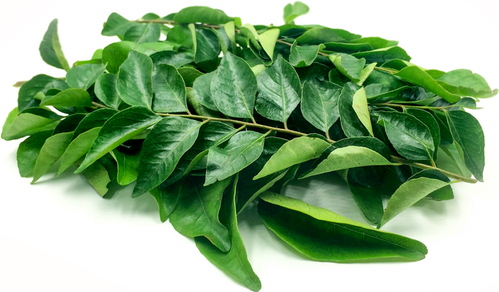 Curry Leaves / Kadi Patta - Fresh Curry Leaves (1000x1000), Png Download