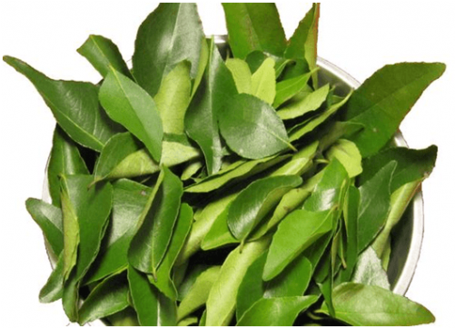 Curry Leaves Transparent (500x500), Png Download