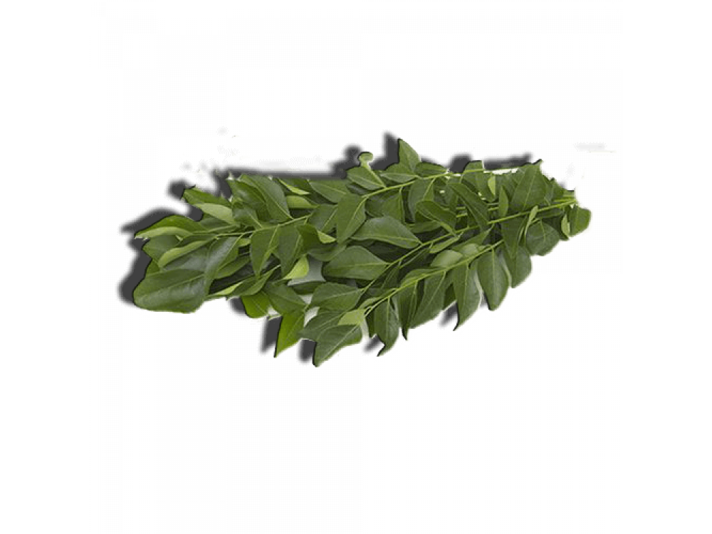 Curry Leaves - Curry Tree (1000x750), Png Download