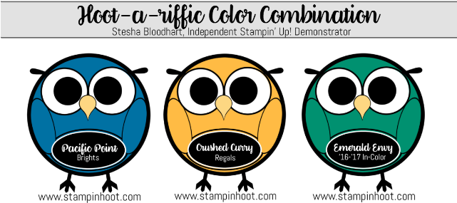 Hoot A Riffic Color Combination Inspiration, Pacific - Stampin' Up Inc. (640x320), Png Download