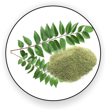 Dried Curry Leaf Powder - Jalpur Ground Neem Leaf Powder (limda Powder) (425x441), Png Download