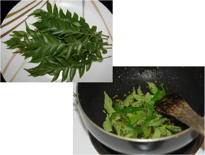 The Carbazole Alkaloids Present In Curry Leaves Play - Curry Tree (655x495), Png Download