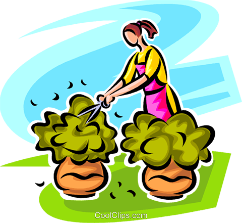 Woman Pruning Shrubs Royalty Free Vector Clip Art Illustration - Pruning A Bush Clipart (480x441), Png Download