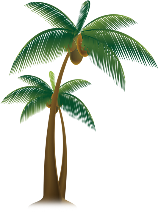 Vector Royalty Free Download Arecaceae Tree Trees Transprent - Coconut Tree Animation Hd (850x850), Png Download