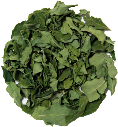 Dehydrated Drumstick Leaves Nutrition Facts (400x443), Png Download