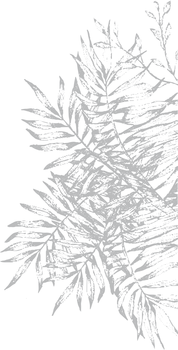 Notre Version D'un Grand Classique Italien, Agrémentée - Sketch (622x1218), Png Download