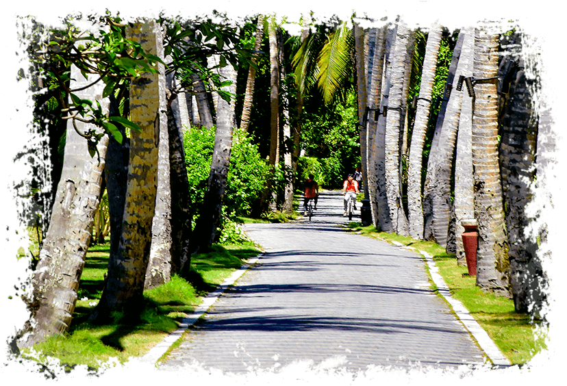 Take An Idyllic Cycle - Maldives (868x582), Png Download