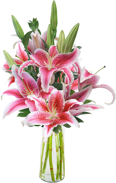 If You Think Your Cat May Have Ingested Even A Part - Stargazer Lilies In A Vase (500x726), Png Download