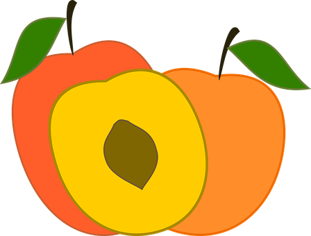Peach Peaches Fruit Sweet Fruit Season Hea - Transparent Peach Vector (448x340), Png Download