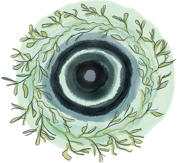 Digital Mandala Leaves Blank Background Low Res - Circle (600x546), Png Download